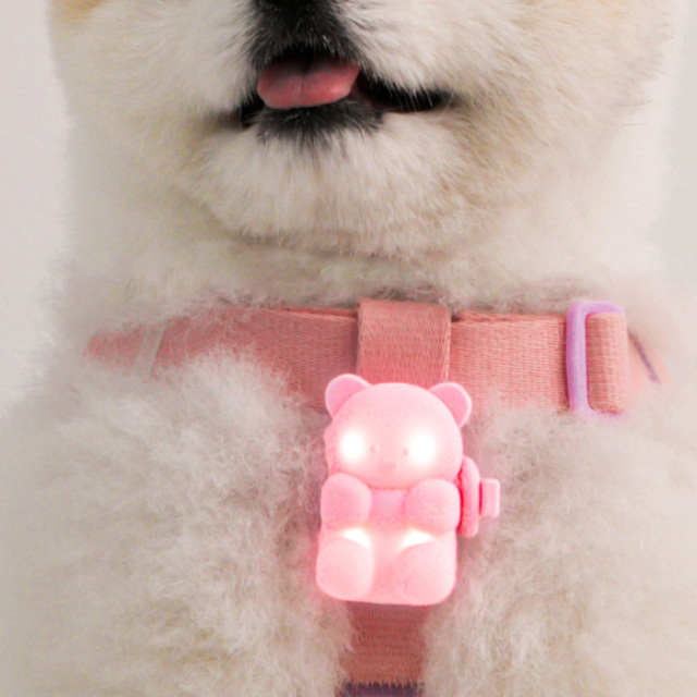 BITE ME】ジェリーベアLEDライト (3カラー) Pets-first ONLINESTORE