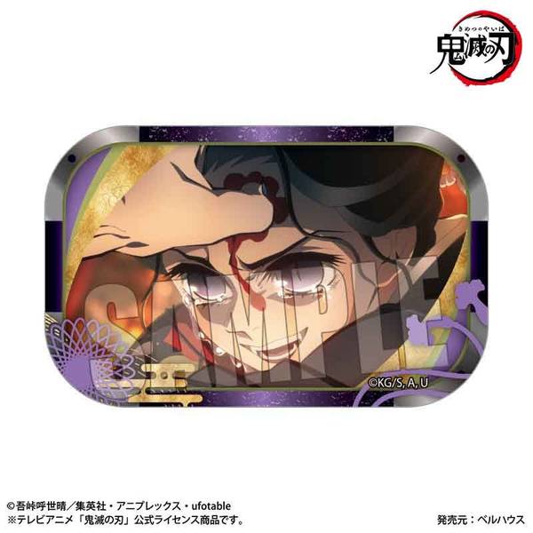 テレビアニメ「鬼滅の刃」柱稽古編』 メモリーズスクエア缶バッジ 冨岡