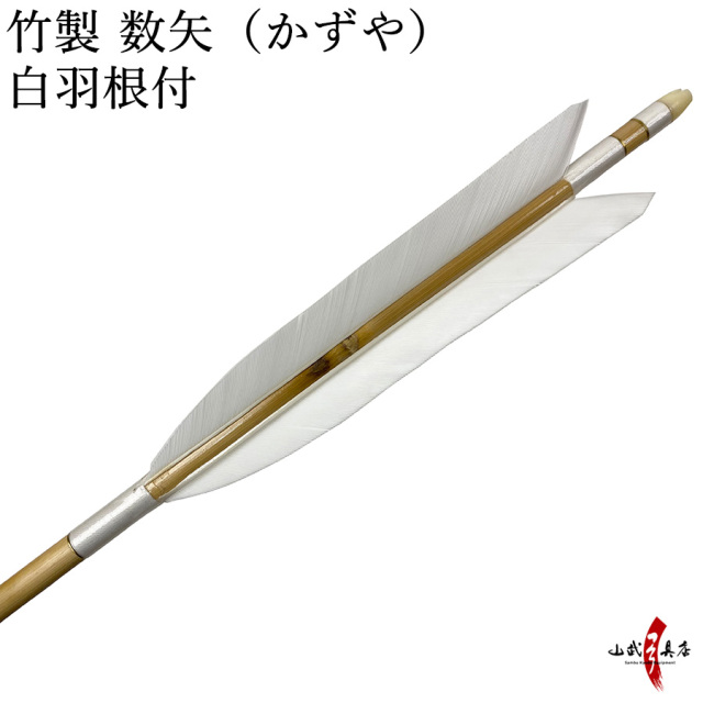 竹 数矢【P-025】