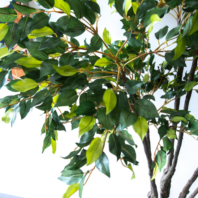 人工 観葉植物 フェイク グリーン 新緑ベンジャミン H約165cm 店舗
