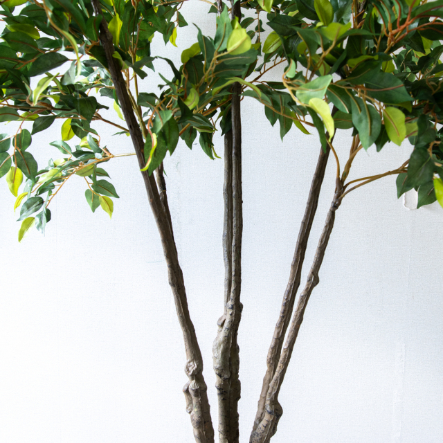 人工 観葉植物 フェイク グリーン 新緑ベンジャミン H約165cm 店舗