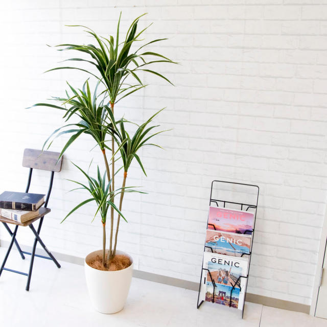 人工 観葉植物 フェイク グリーン ユッカ H約155cm 店舗 装飾 開店
