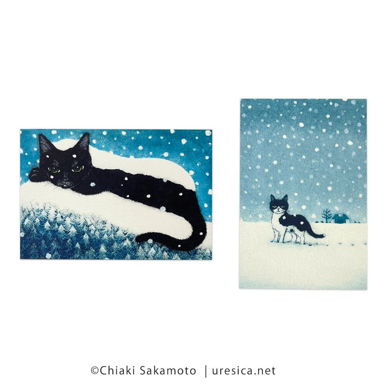 坂本千明 ポストカード（雪） | URESICA