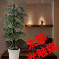 光触媒 人工観葉植物 ウォールグリーン フェイクグリーン リュミエール