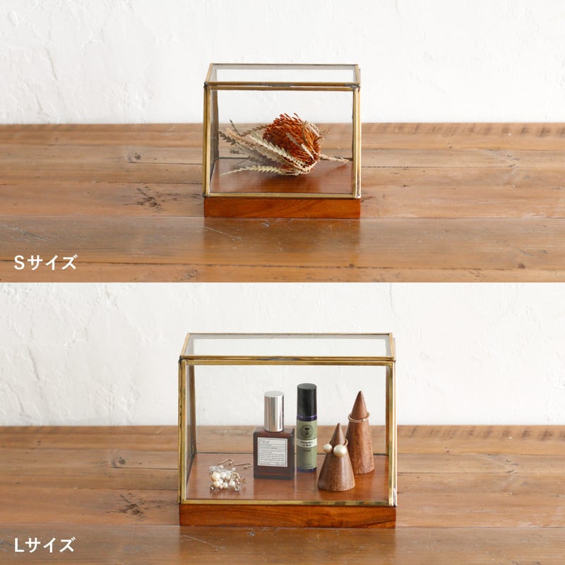 BRASS SHOWCASE /真鍮の枠と木製台座のガラスショーケース / Sサイズ