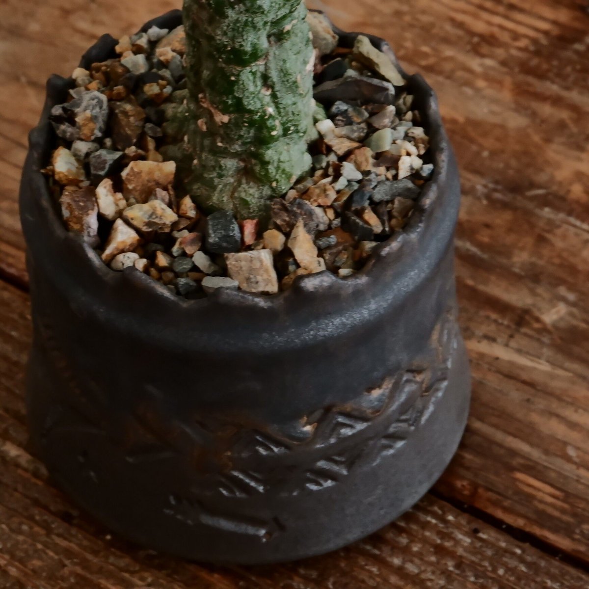 アデニア クリスタルグリーン［No.56］ × 根本峻吾 作 S.N POT type.