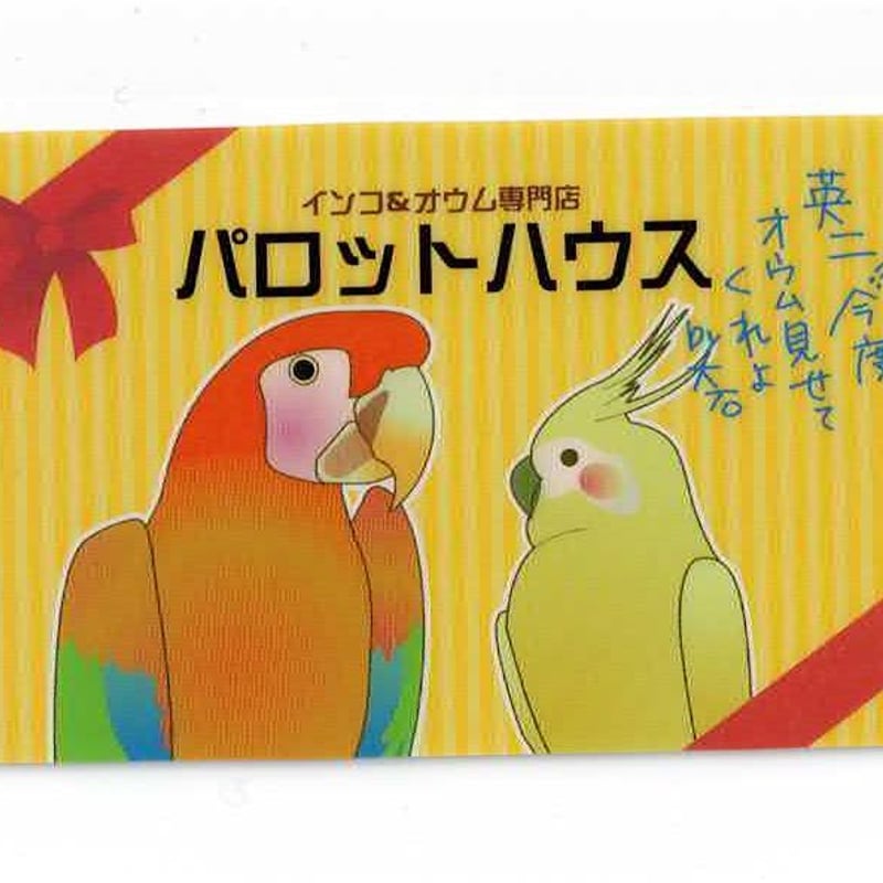 テニスの王子様 菊丸 英二 MIX&MATCH CARD | K-BOOKS 池袋 2次元