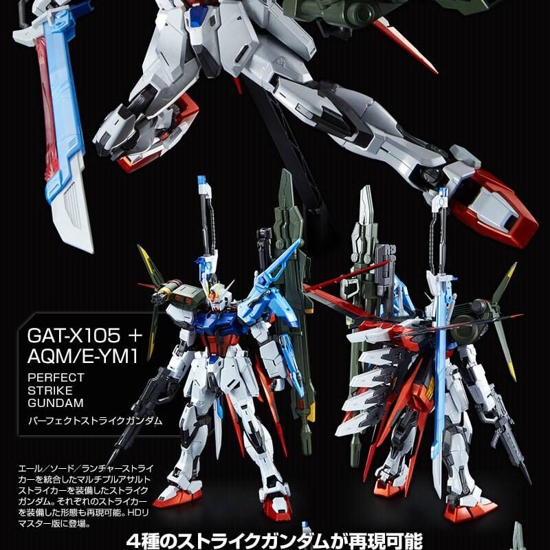 ガンダムSEED プレミアムバンダイ限定品 MG 1/100 パーフェクト