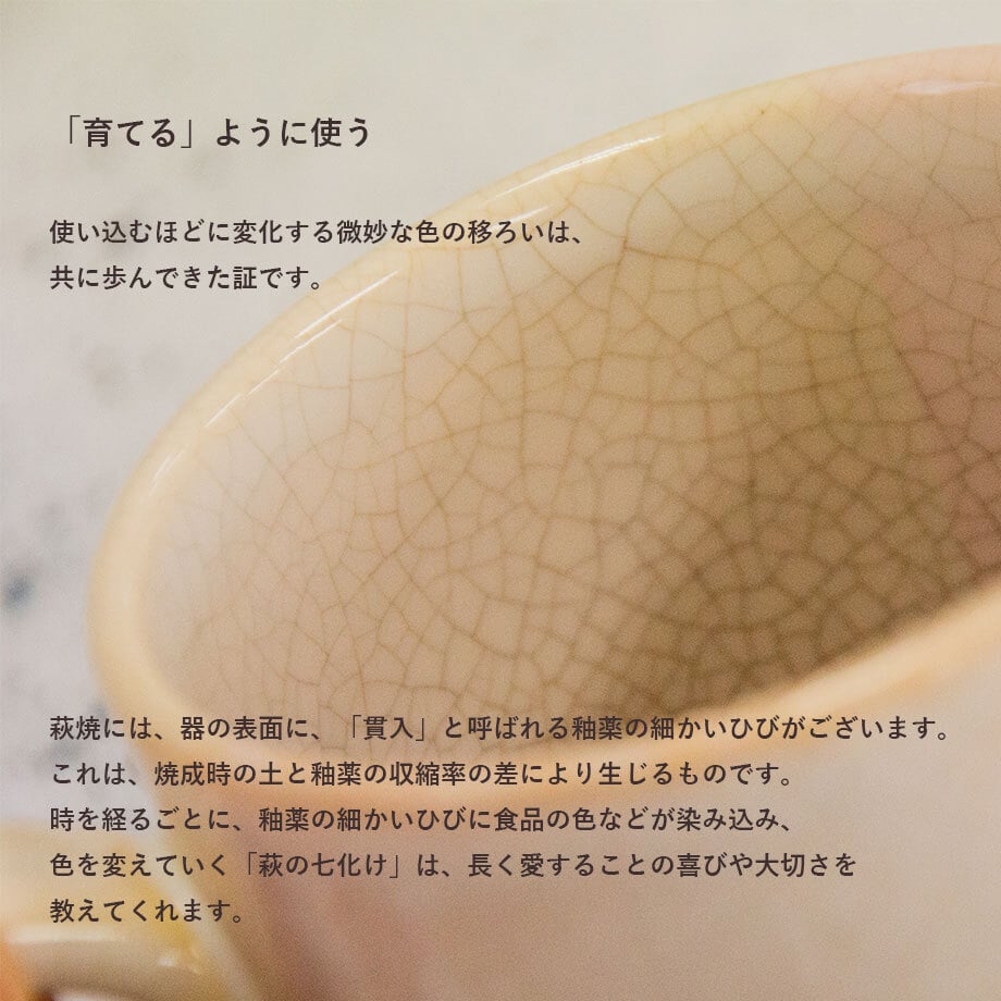 夕照盃（折箱）｜萩焼窯元 萩陶苑 椿秀窯 ギフト | HAGIYAKI SHUTOUEN