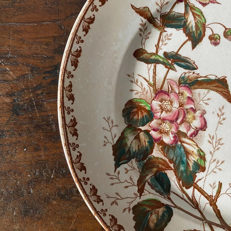 U&C sarreguemines サルグミンヌ カルメン デザート 皿 平皿 φ20.8cm