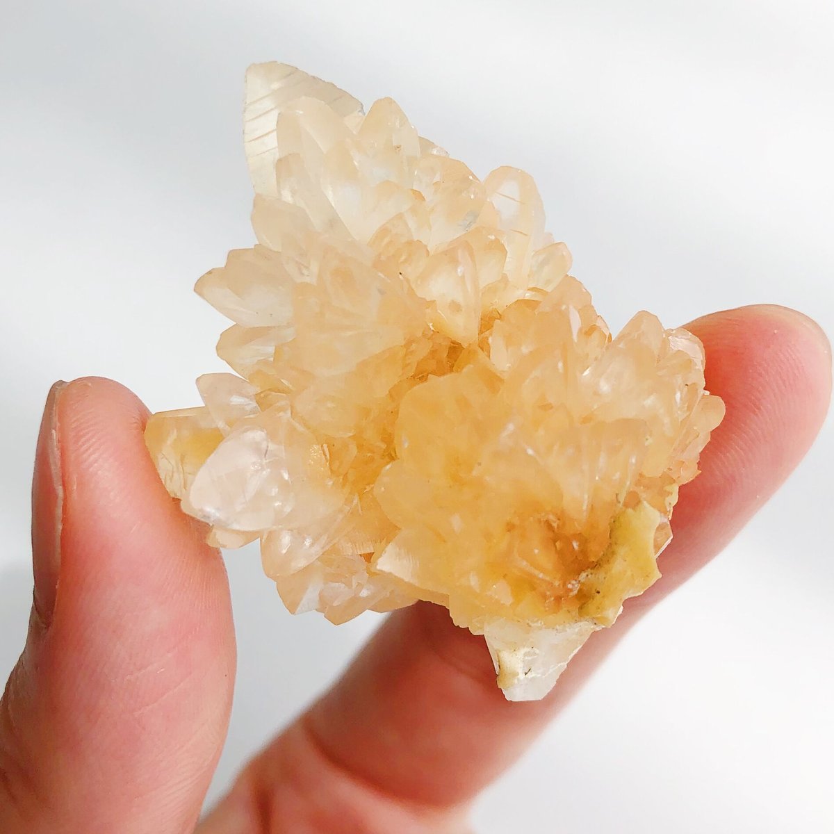 カルサイトクラスター | NEROLI CRYSTAL