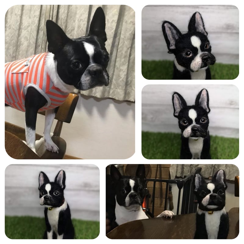 ☆愛犬オーダーメイドMサイズ☆羊毛フェルトオーダー(愛犬 わんちゃん