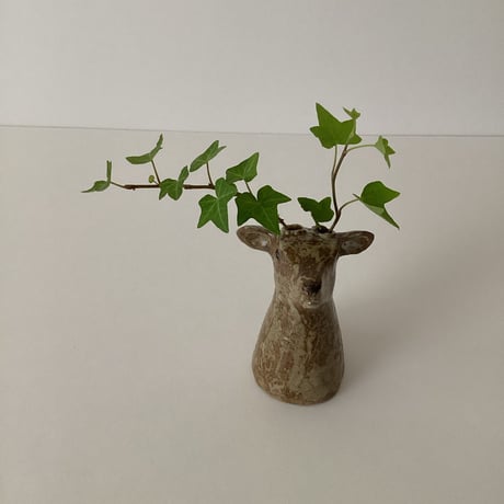 大島奈王 | STORES