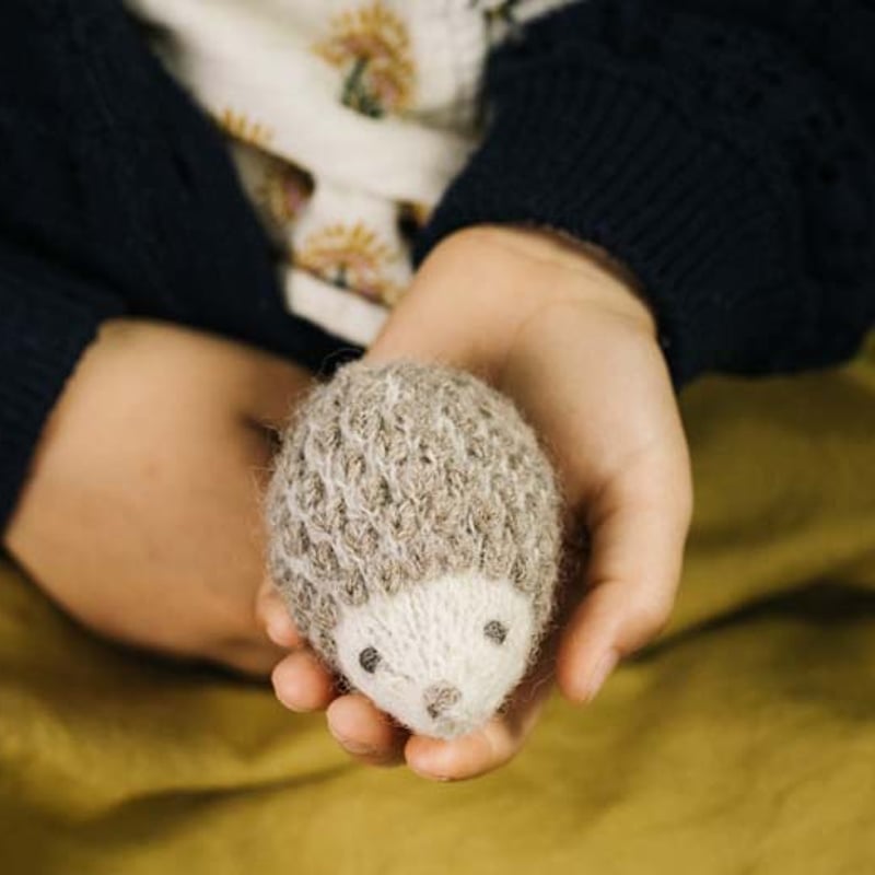 PDFパターン】Scrap Yarn Hedgehog 余り糸で編むポップコーン模様の