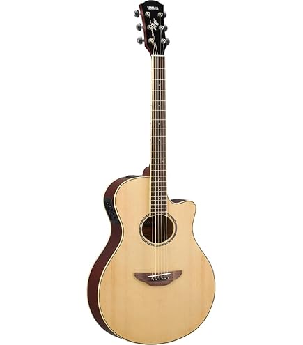 Amazon | Ibanez アイバニーズ エレクトリック アコースティックギター