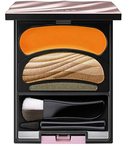 Amazon.co.jp: オーブ ブラシひと塗りシャドウ (16 オレンジ