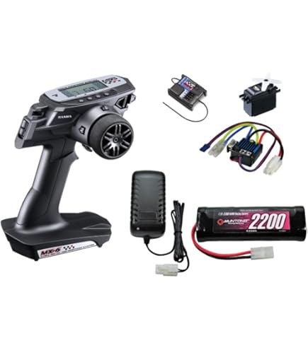 Amazon | SANWA M17 (RX493i/PCダブルレシーバー) TX-481＋RX-493ix2