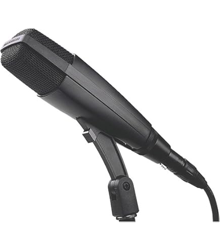 Amazon.co.jp: Sennheiser ダイナミックマイク MD 441-U : 楽器・音響機器