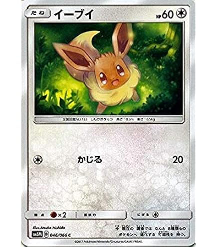 Amazon.co.jp: ポケモンカードゲームSM/MルカリオEX（SR仕様）/THE