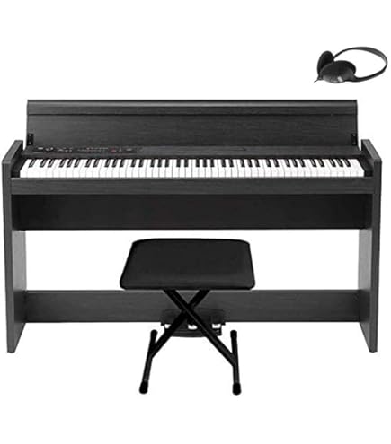 Amazon | KORG 電子ピアノ LP-380-RWBK U 88鍵 ローズウッド・ブラック