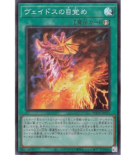 Amazon.co.jp: 遊戯王カード 滅亡き闇 ヴェイドス(ウルトラレア) WORLD