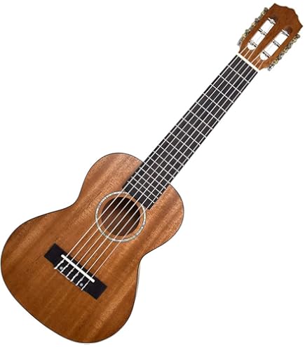 Amazon | ARIA アリア ミニアコースティックギター ASA-18 N ケース
