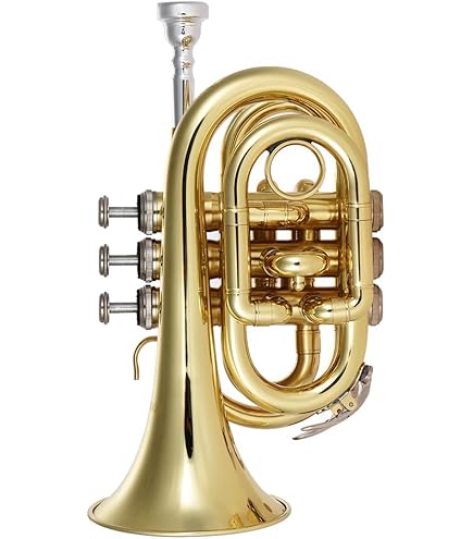 Amazon.co.jp: バック Bach B♭トランペット TR600 ラッカー仕上げ