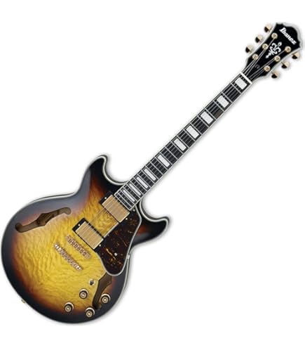 Amazon | Ibanez AS113B-TBC 【セミアコ】 アイバニーズ | エレキ
