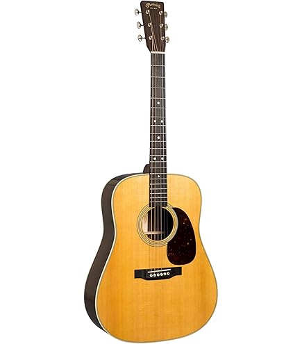 Amazon | Martin アコースティックギター Standard Series D-28