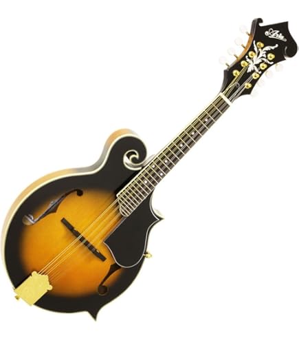 Amazon | 鈴木 マンドラ MD-10 | マンドリン | 楽器・音響機器