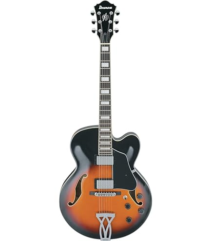 Amazon | LOAR (ロア) フルアコースティックギター LH-350 Vintage