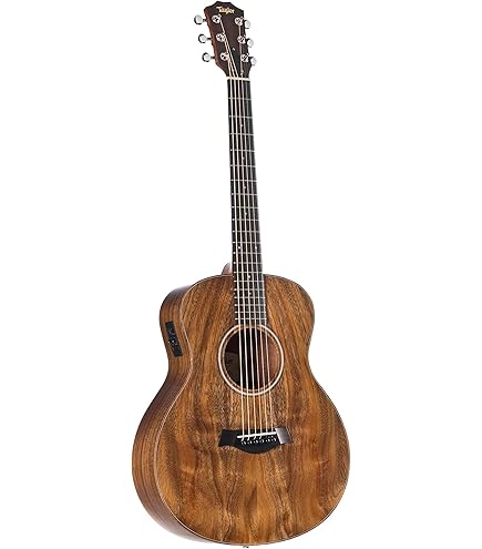 Amazon | Taylor GS Mini Mahogany GS Mini アコースティックギター