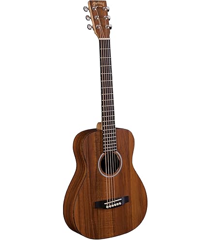 Amazon | James J-450D/Ova Black アコースティックギター エレアコ