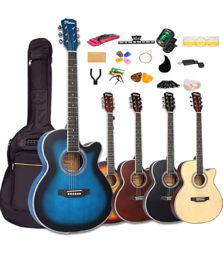 Amazon | ESP LTL6BLK LTD TL-6 Black 6弦 Acoustic Resonant Chamber