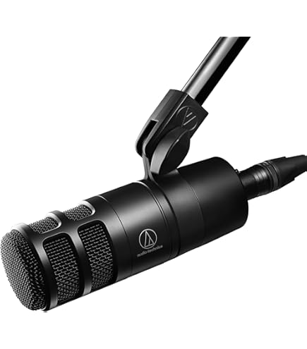 Amazon.co.jp: ソニー F-V420 Fマイク (ブラック) : 家電＆カメラ