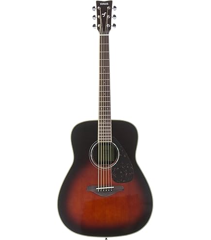 Amazon | YAMAHA FG830 NT アコースティックギター初心者12点セット
