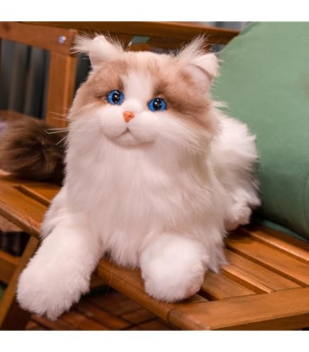 Amazon.co.jp: にゃむにゃむにゃー ぬいぐるみ : おもちゃ