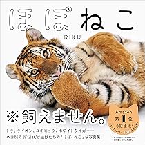 とらのこ | RIKU |本 | 通販 | Amazon
