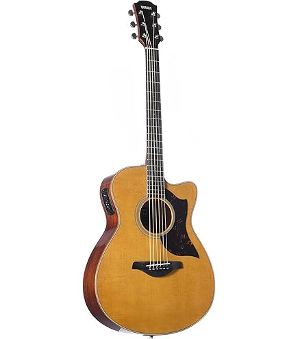 Amazon | Taylor 214ce-BLK デラックスグランドオーディトリウムシトカ
