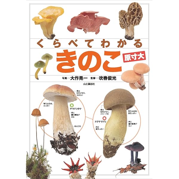 検索入門 きのこ図鑑 | 上田 俊穂, 本郷 次雄, 伊沢 正名 |本 | 通販
