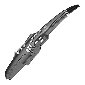 Roland Aerophone AE-10 - 新感覚のデジタル管楽器／ウィンド