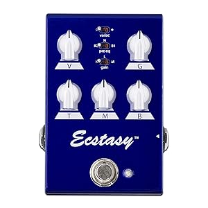 Bogner Ecstasy Blue - Bognerアンプのフラッグシップ「Ecstacy」の