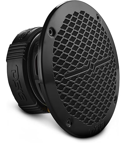 Amazon.com: DS18 PRO-ZT6 6.5