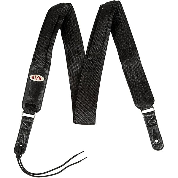 Amazon.com: EVH Striped Series Case - Black : Musical Instruments