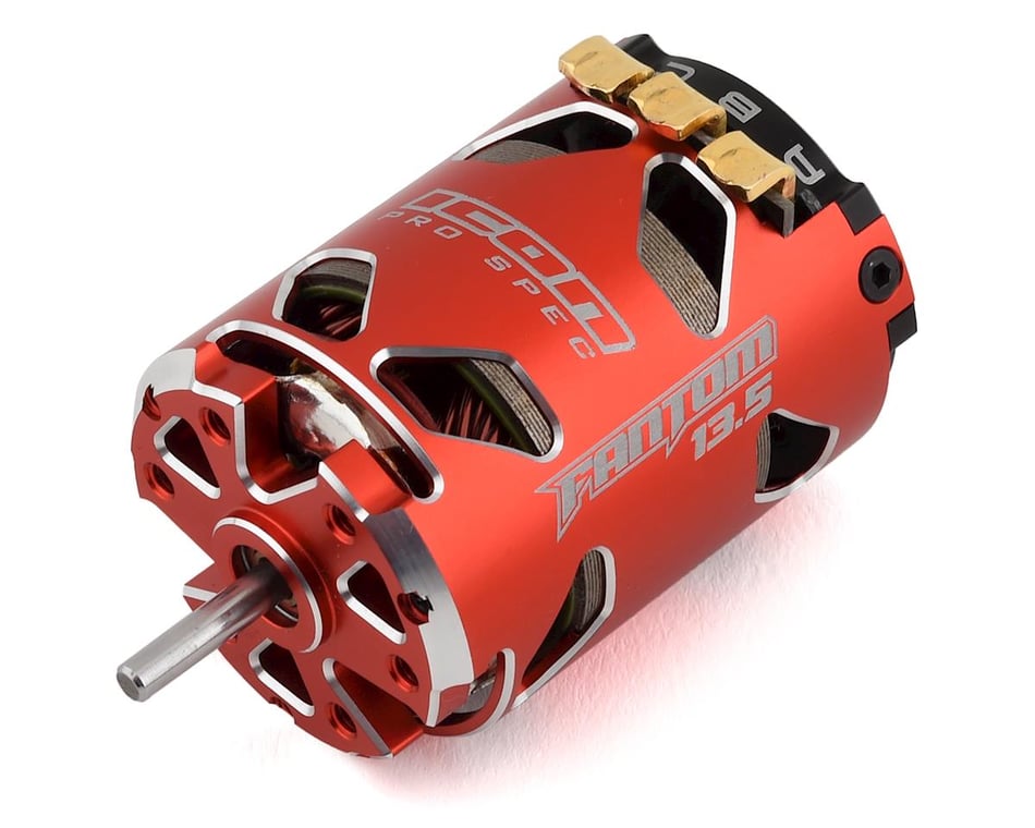 Fantom ICON Team Edition Spec Brushless Motor (13.5T) [FAN19313T