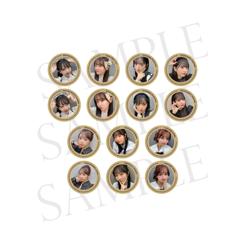 FRUITS ZIPPER 2nd Anniv. SP LIVE 2024ランダム缶バッジ（全14種