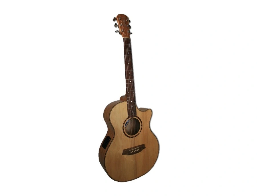 Cole Clark Angel AN2AC - What To Know & Where To Buy | Equipboard