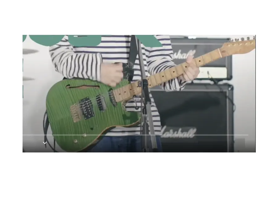 Schecter Thinline Addictone Custom Telecaster - What To Know