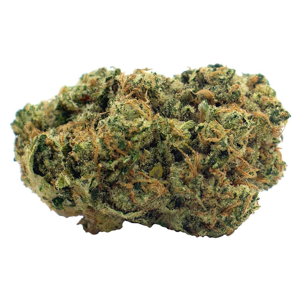 Tweed - Sour Sucker Mints Flower - Hybrid | Inspired Cannabis