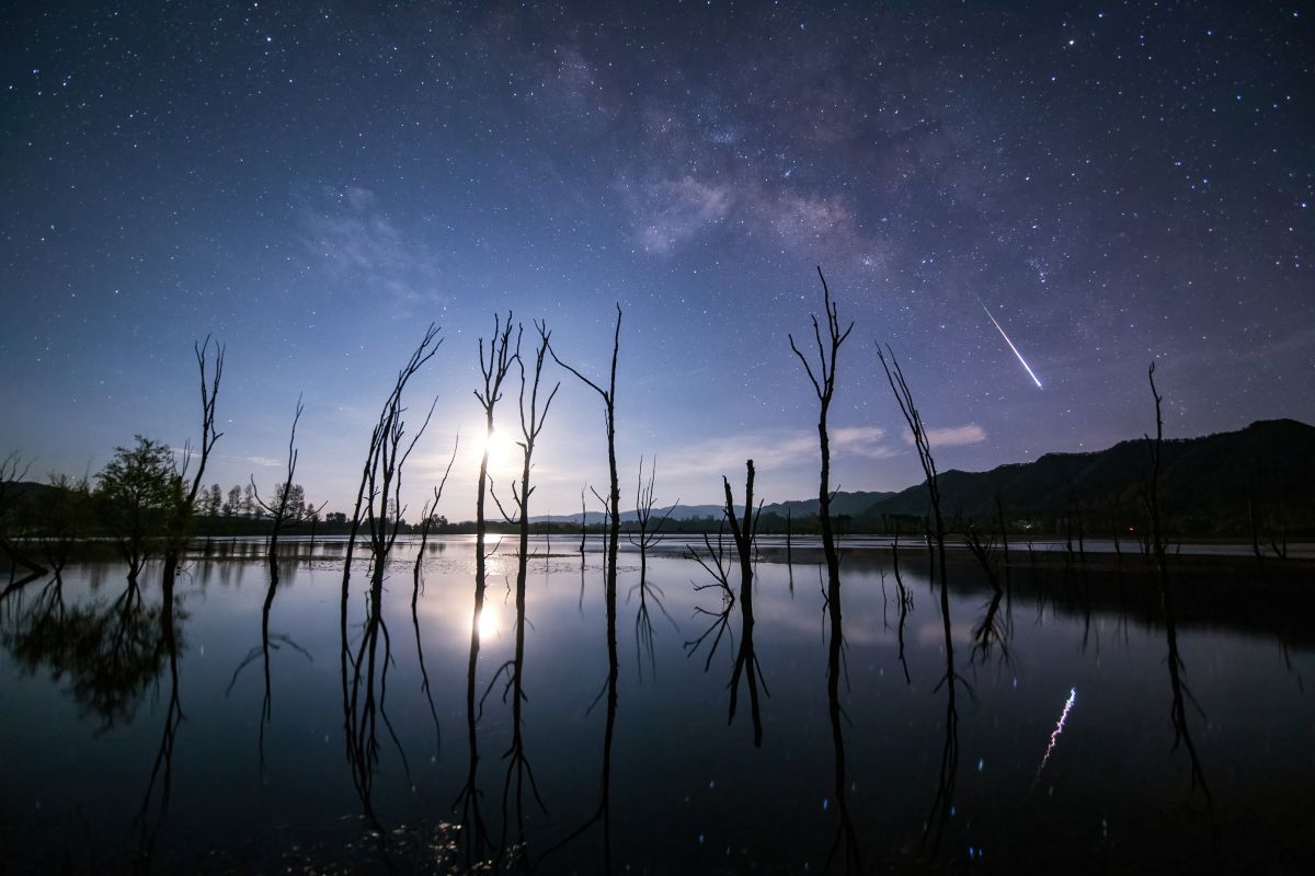 4月こと座流星群が極大を迎え、明けの明星が最大光度で輝く今週の夜空